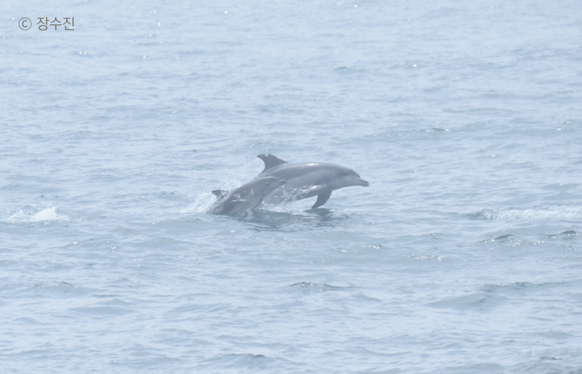 스크린샷 2016-07-19 오후 4.22.01.png