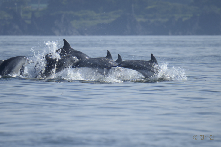 스크린샷 2016-07-19 오후 4.27.23.png