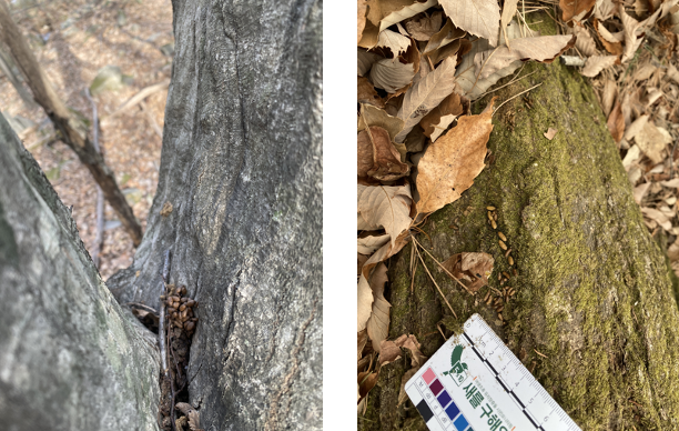 스크린샷 2023-12-05 오후 10.58.17.png