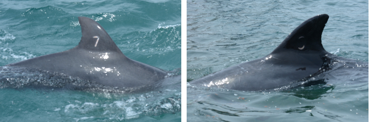 스크린샷 2018-04-12 오후 5.45.53.png