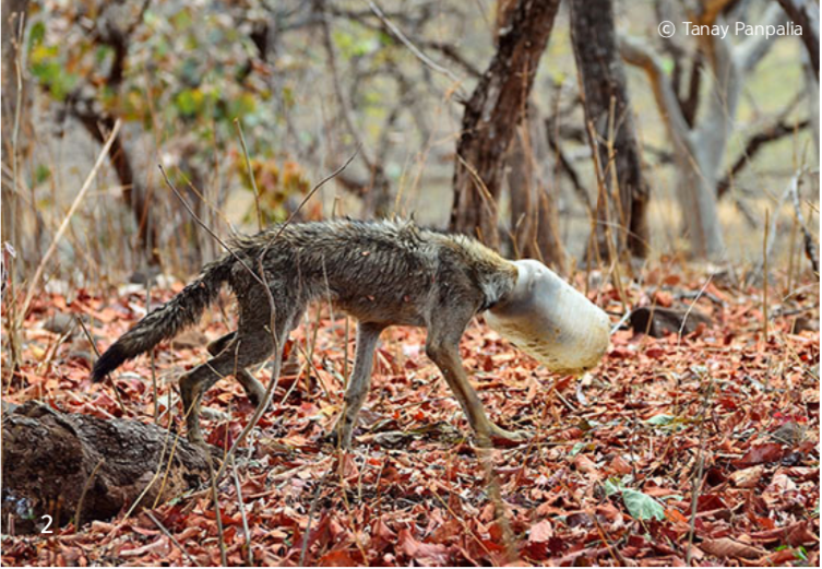 스크린샷 2019-08-21 오후 3.38.02.png