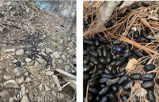 스크린샷 2023-12-05 오후 10.59.30.png