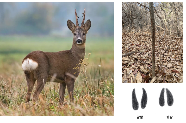 스크린샷 2023-12-05 오후 10.58.59.png