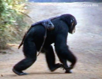 스크린샷 2018-11-26 오후 12.44.28.png