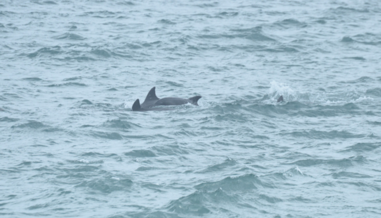 스크린샷 2018-04-12 오후 7.10.55.png