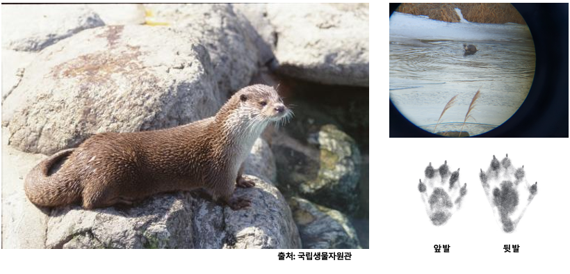 스크린샷 2023-12-05 오후 10.57.34.png