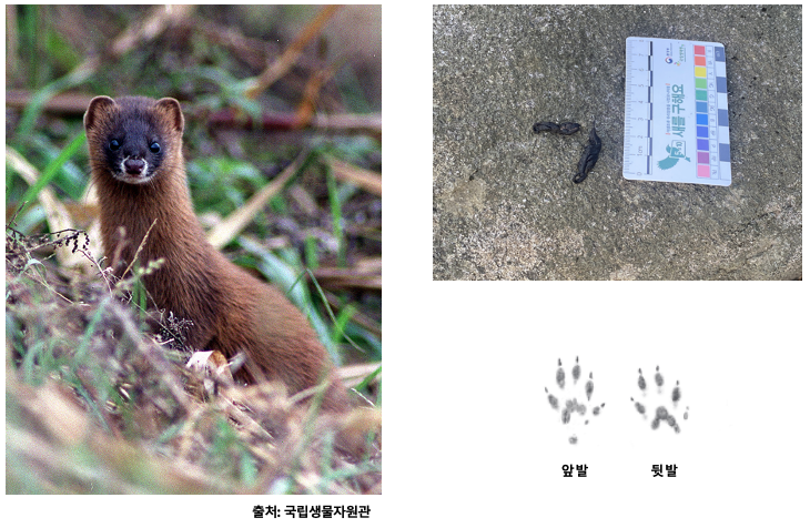 스크린샷 2023-12-05 오후 10.57.16.png