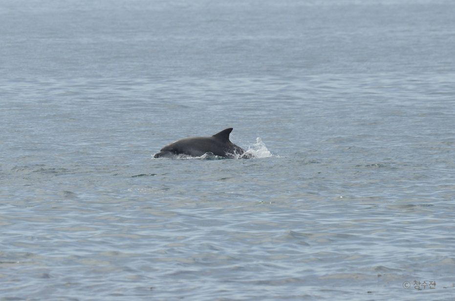 스크린샷 2016-07-19 오후 4.30.24.png