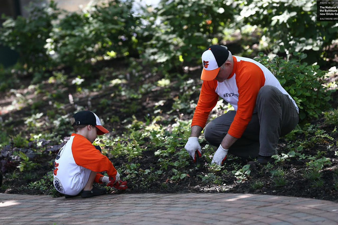 스크린샷 2016-09-12 오전 1.01.39.png
