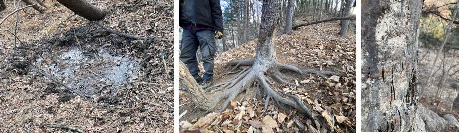 스크린샷 2023-12-05 오후 10.58.42.png