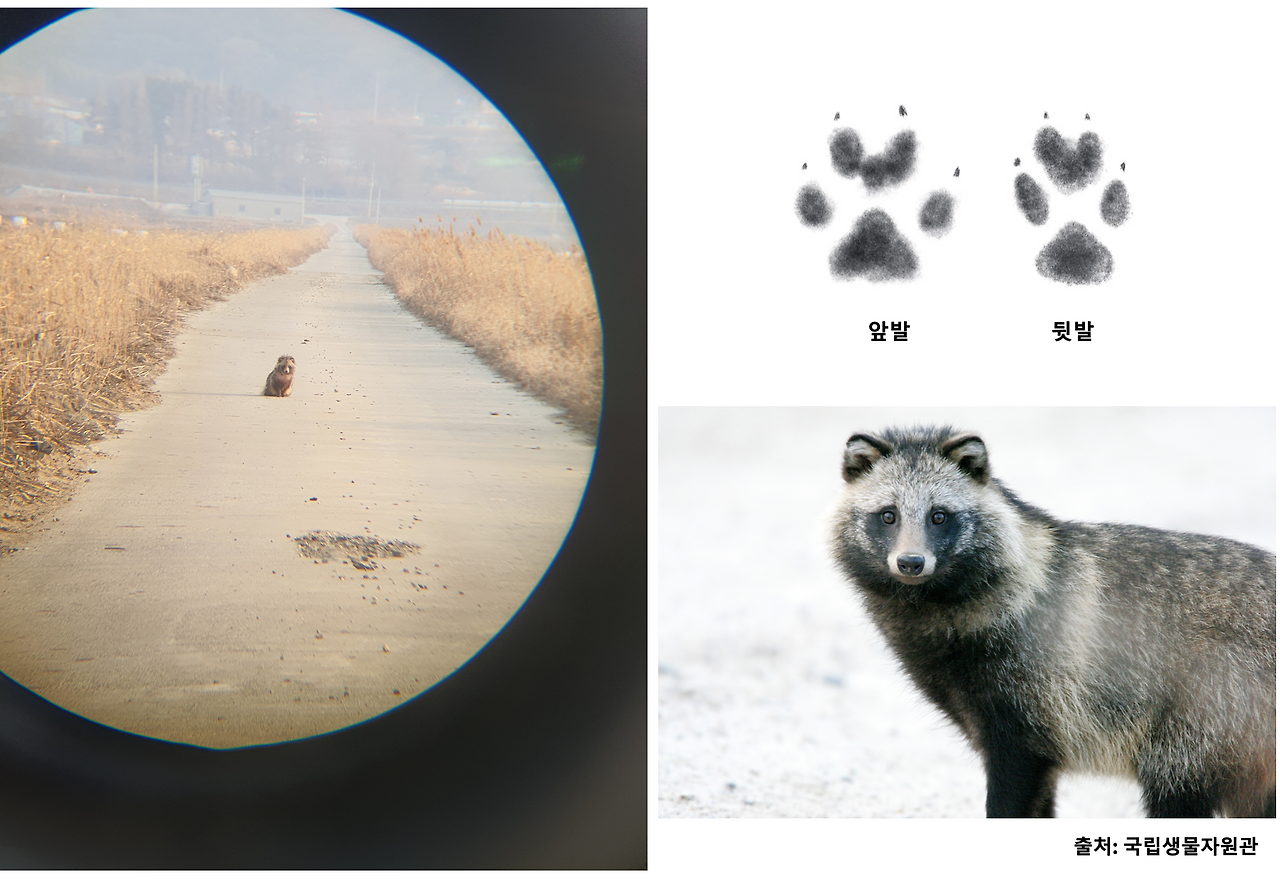 스크린샷 2023-12-05 오후 10.54.09.png