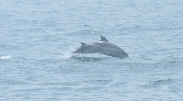 스크린샷 2018-04-12 오후 6.00.37.png