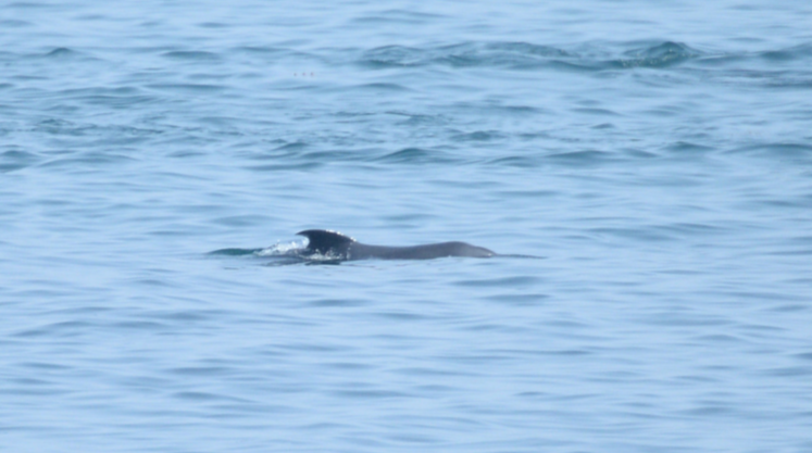 스크린샷 2018-04-12 오후 7.08.21.png