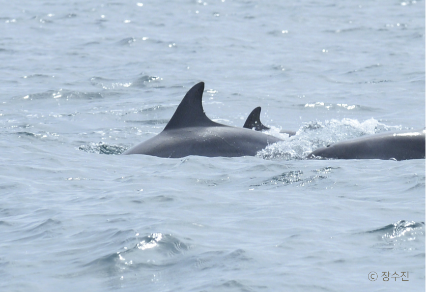 스크린샷 2016-07-19 오후 4.14.40.png