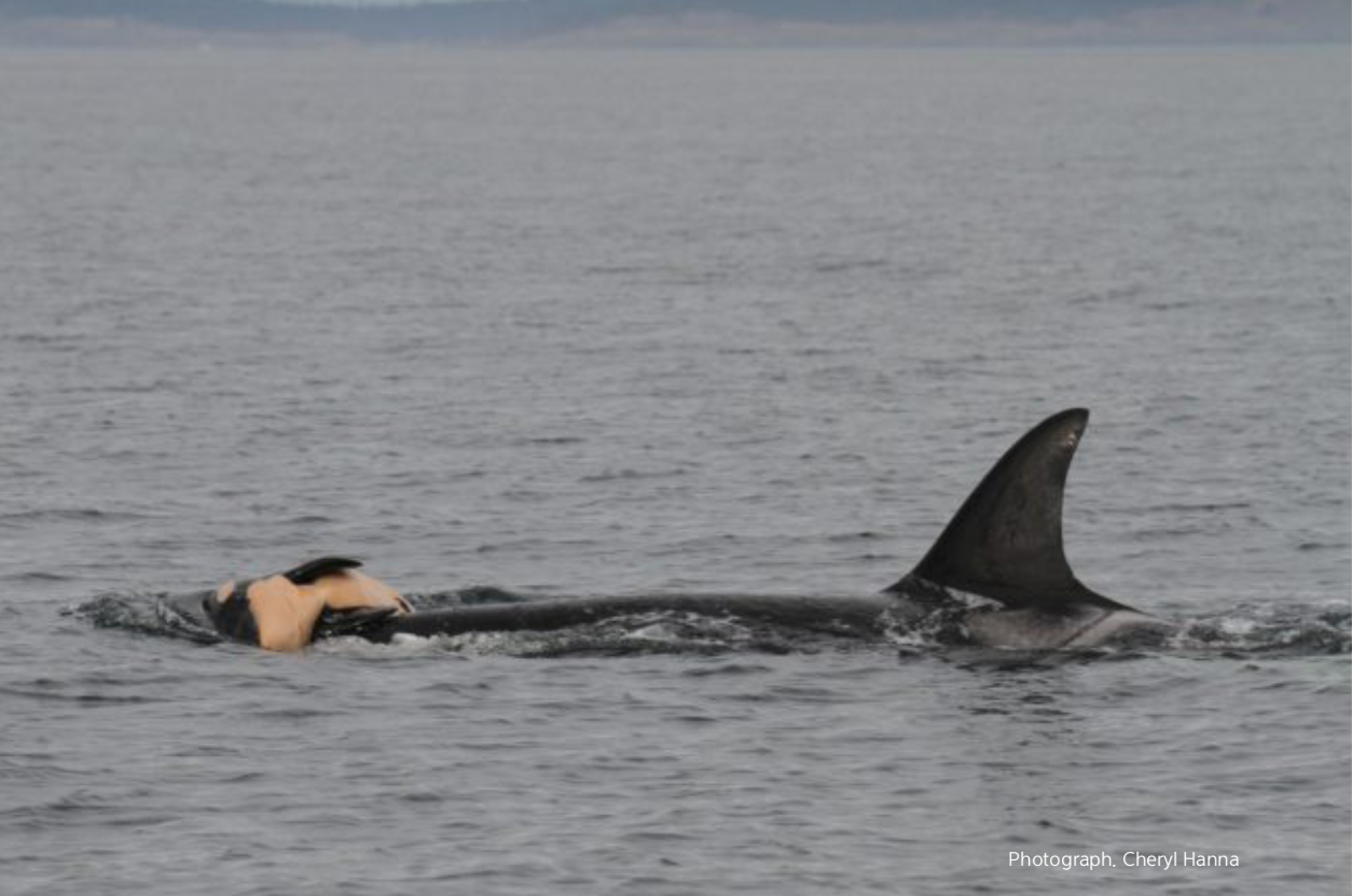 스크린샷 2018-11-26 오후 12.32.40.png