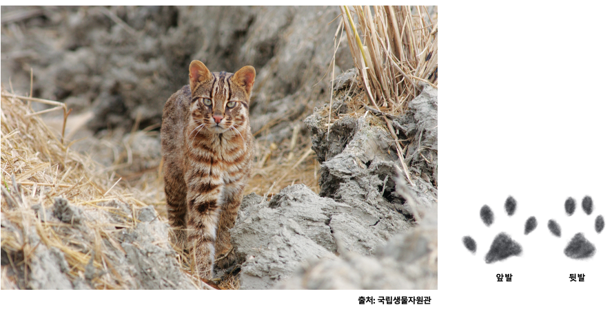 스크린샷 2023-12-05 오후 10.55.22.png