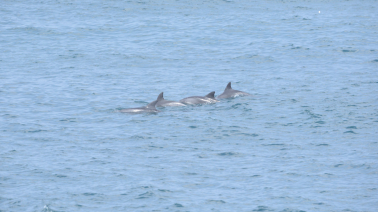 스크린샷 2018-04-12 오후 7.10.17.png