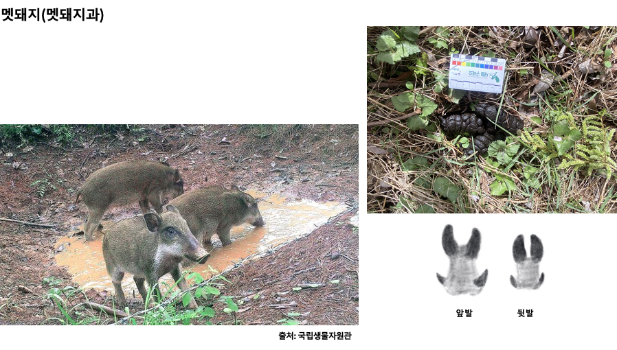 스크린샷 2023-12-05 오후 10.58.30.png