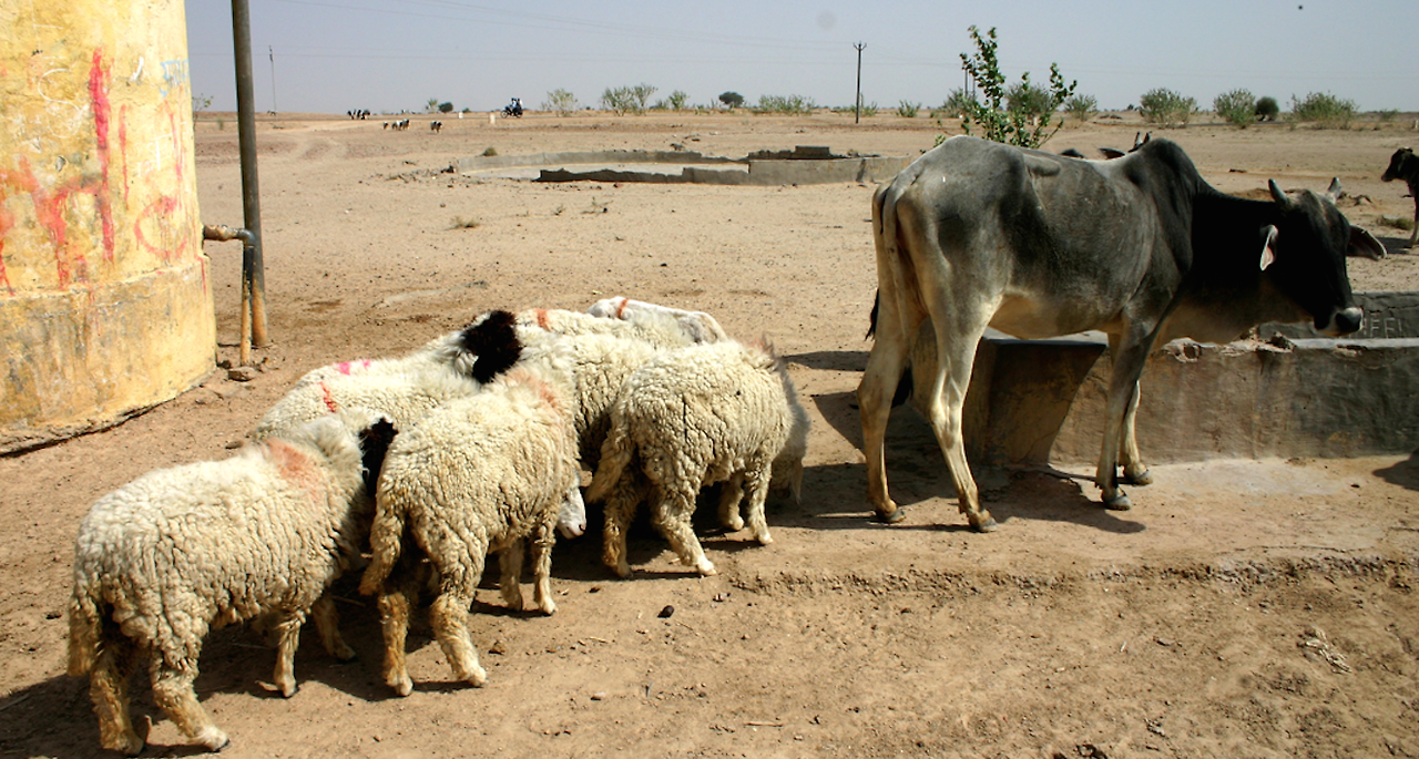 스크린샷 2016-03-24 오후 5.01.49.png