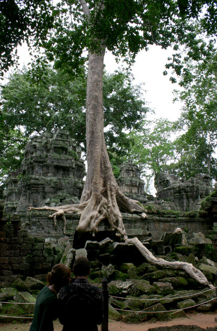 스크린샷 2017-03-12 오후 3.52.48.png