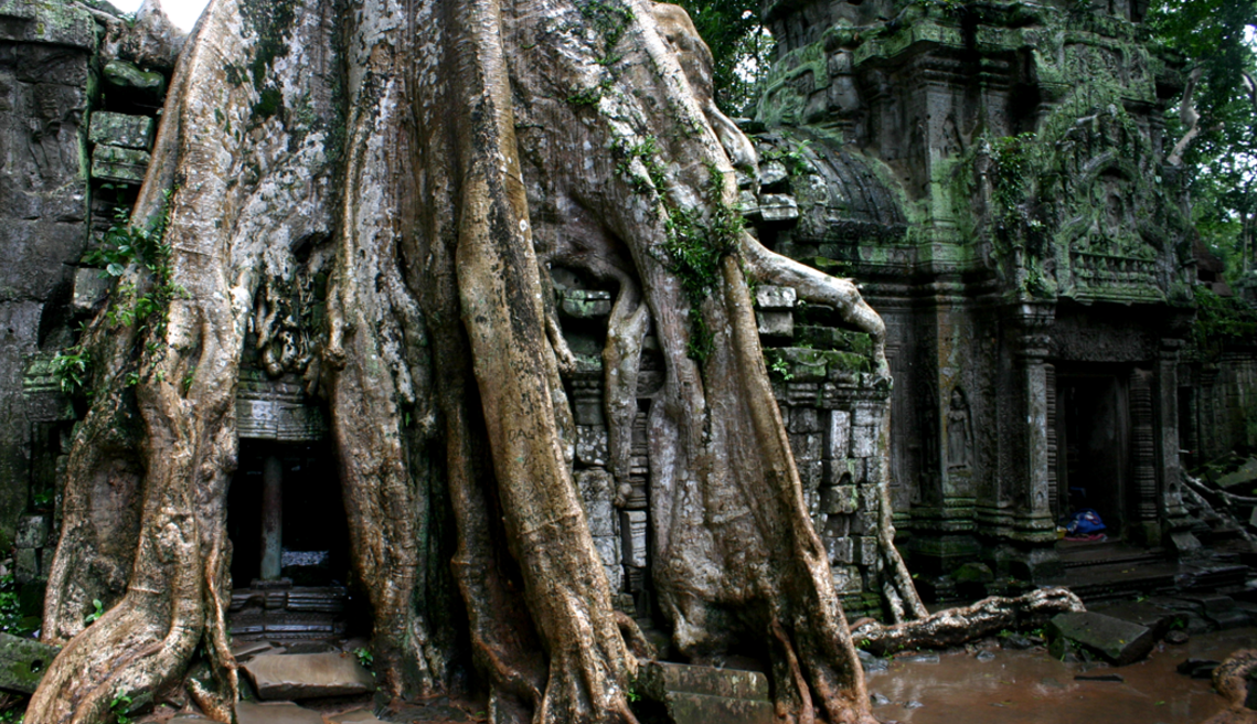 스크린샷 2017-03-12 오후 3.52.16.png