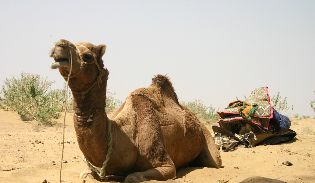 스크린샷 2016-03-24 오후 5.06.12.png