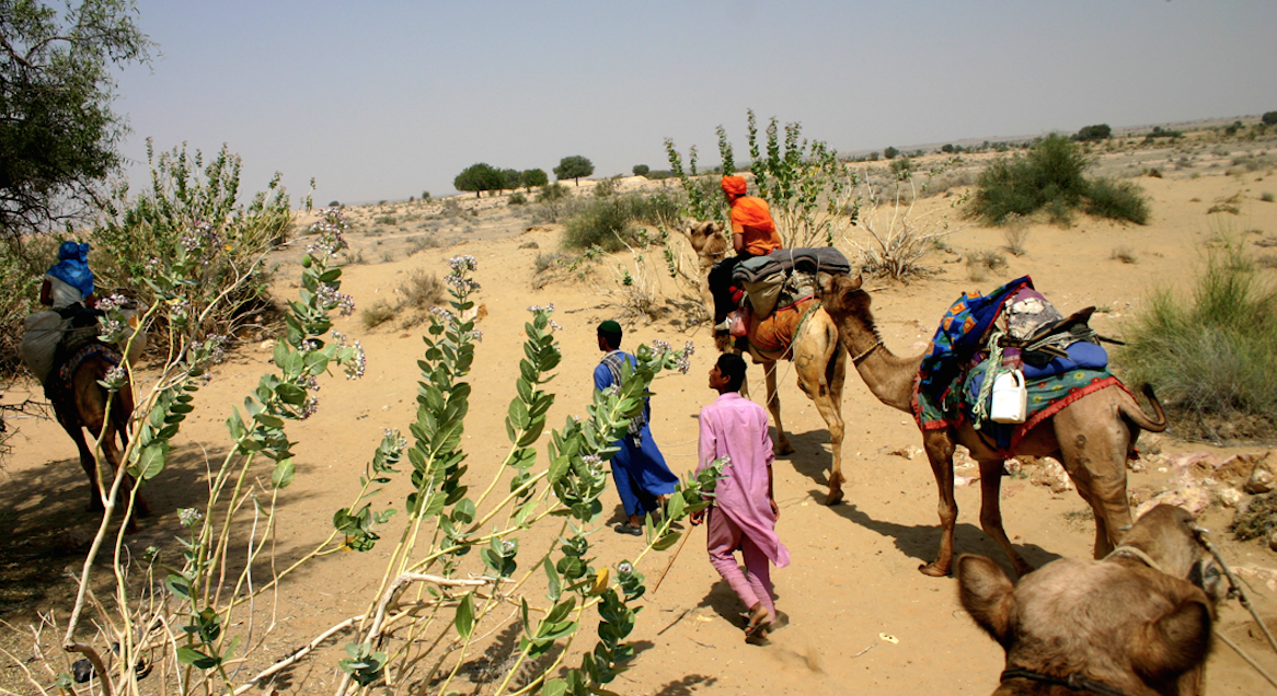 스크린샷 2016-03-24 오후 5.03.41.png