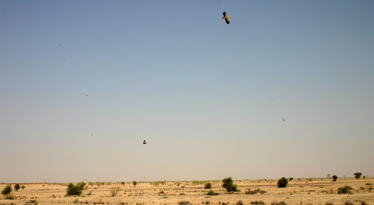 스크린샷 2016-03-24 오후 5.01.20.png