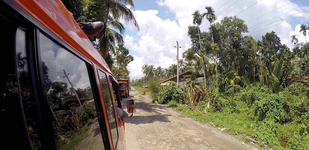 to bukit lawang.png