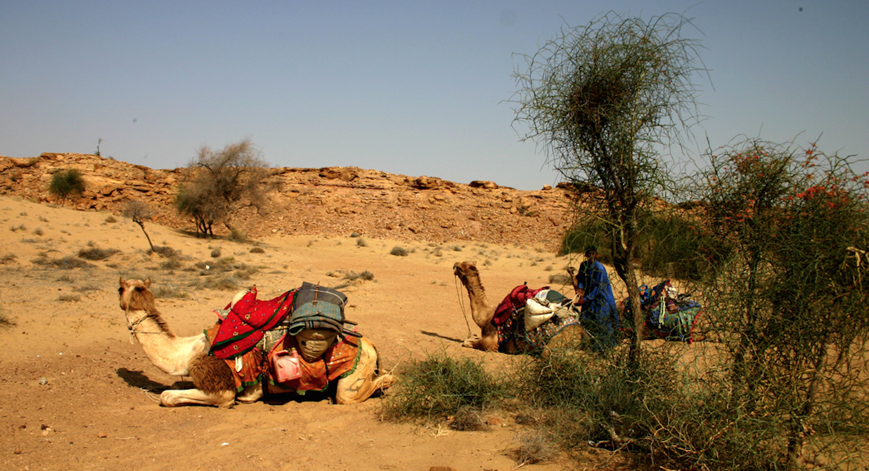 스크린샷 2016-03-24 오후 5.00.33.png