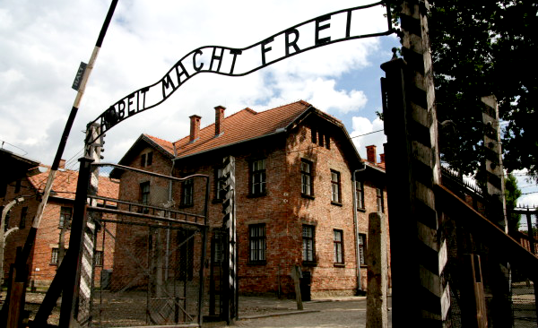 auschwitz_7_3_1.png