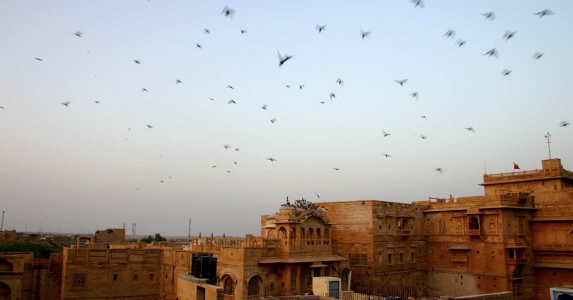 스크린샷 2016-03-24 오후 5.45.58.png