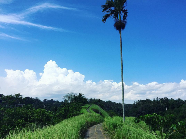 스크린샷 2016-01-24 오전 12.27.21.png