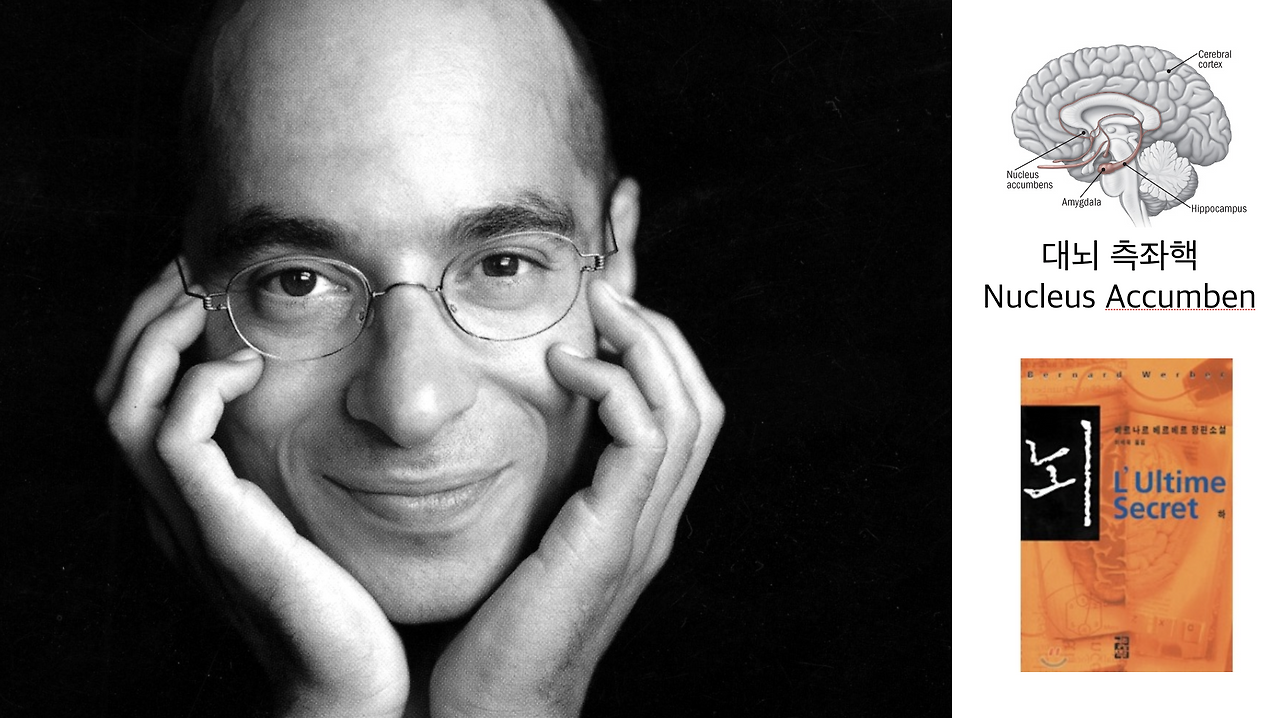 Screen Shot 2019-11-16 at 8.04.41 PM.png