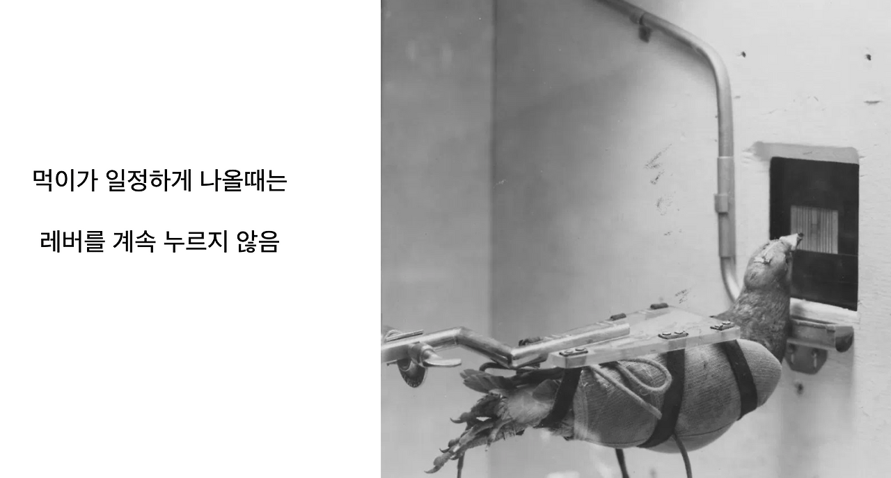 Screen Shot 2019-11-16 at 8.04.50 PM.png