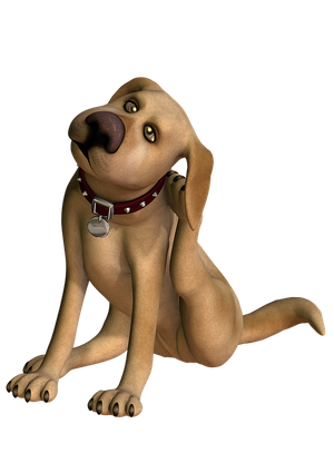 dog-scratching-2776225_960_720[1].png