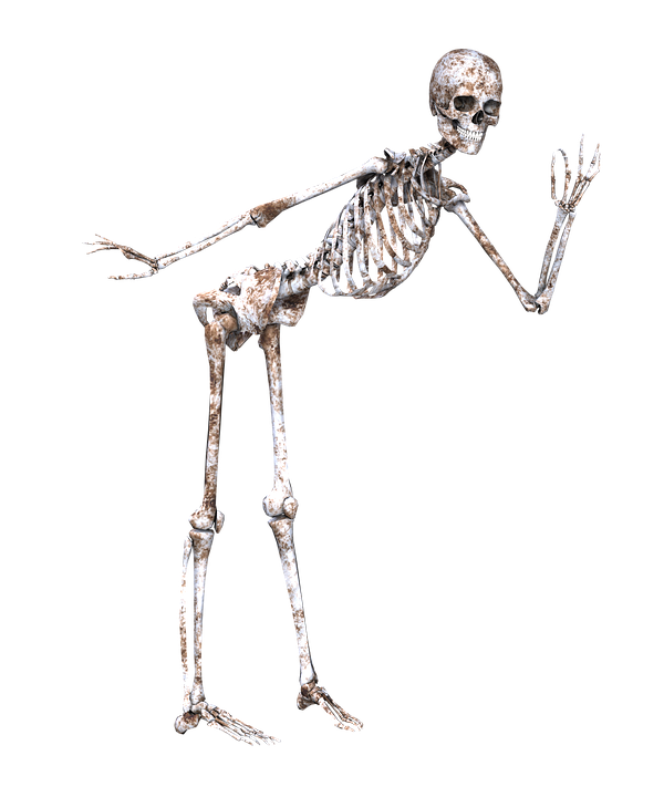 skeleton-1940279_960_720[1].png