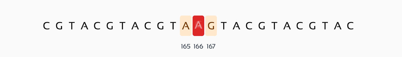 염기서열.png