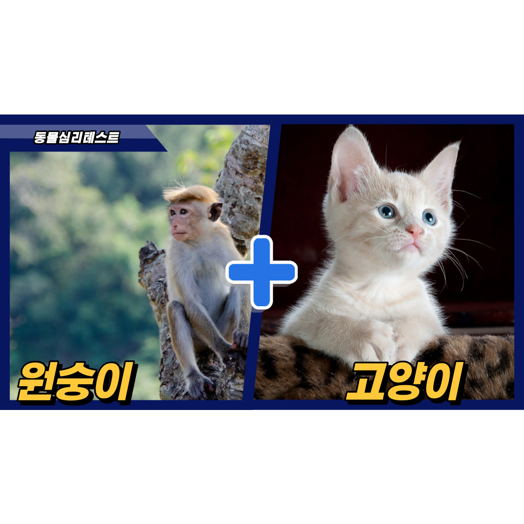 100발-100중!-소름-돋는-동물심리테스트-_-연애편-2.png