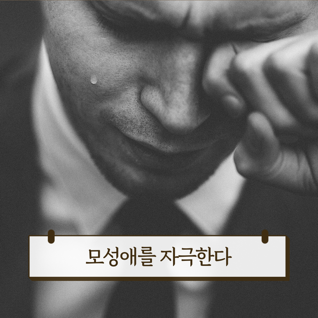 사진_모성애-1.png