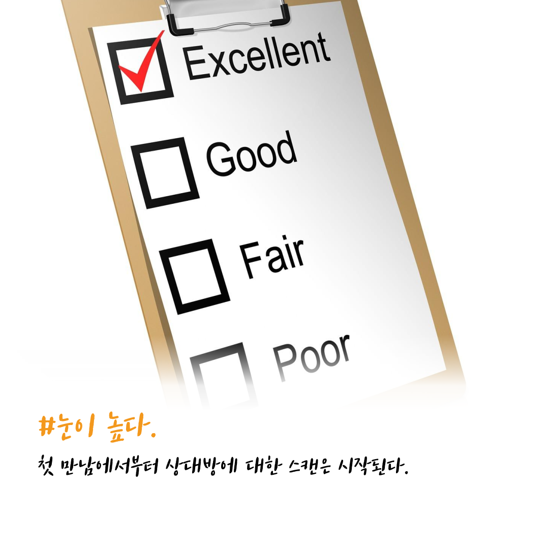 사진_점수-1.png