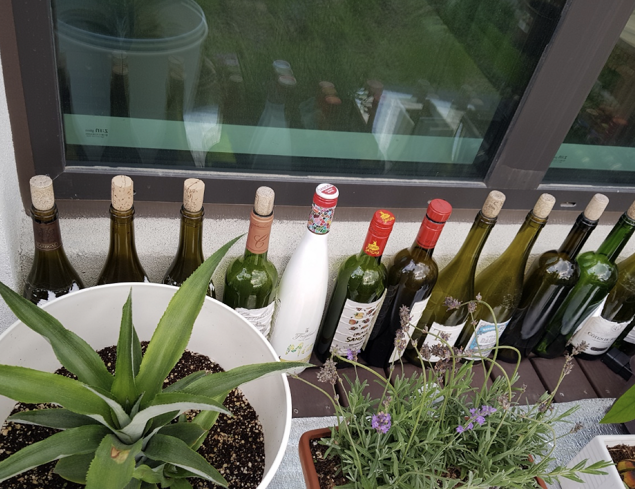 스크린샷 2018-07-06 오전 7.07.35.png