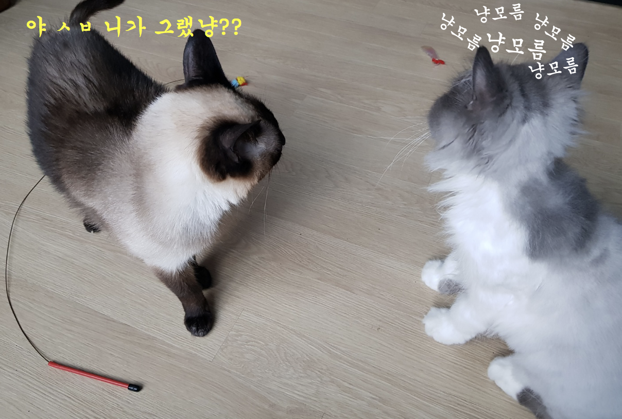 스크린샷 2018-07-06 오전 7.18.56.png