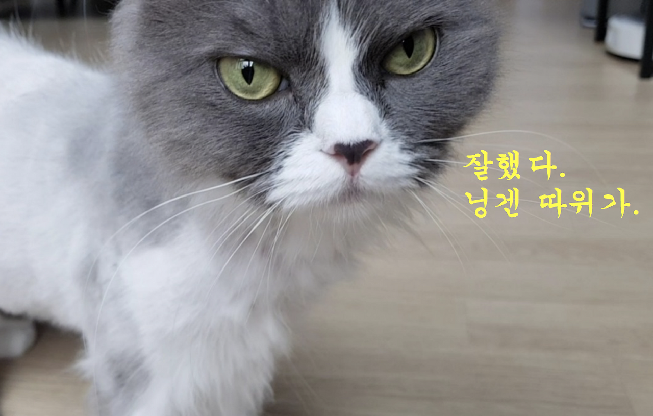 스크린샷 2018-07-06 오전 7.37.53.png