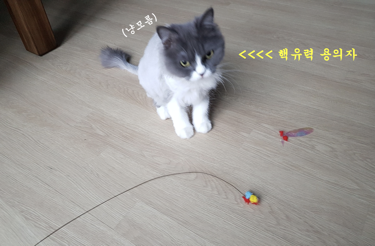 스크린샷 2018-07-06 오전 7.14.51.png