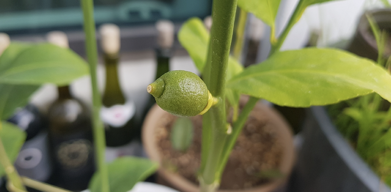 스크린샷 2019-06-13 오후 12.31.30.png