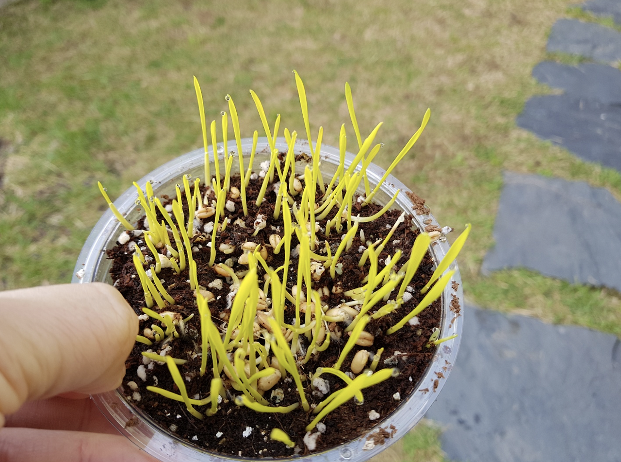 스크린샷 2018-05-28 오후 4.17.32.png