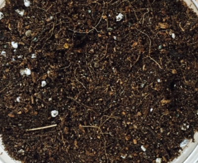 스크린샷 2018-05-28 오후 4.09.37.png