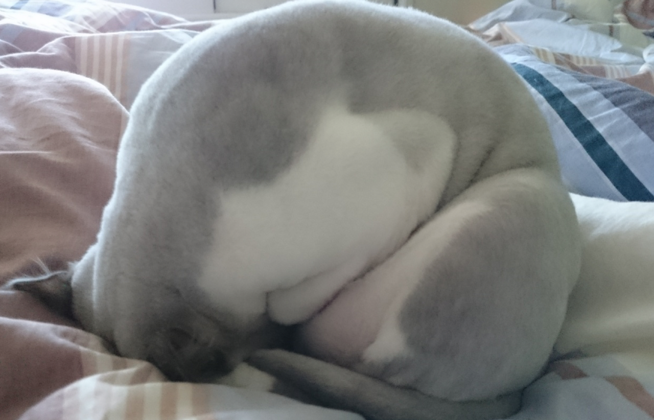 스크린샷 2017-12-22 오후 3.15.05.png