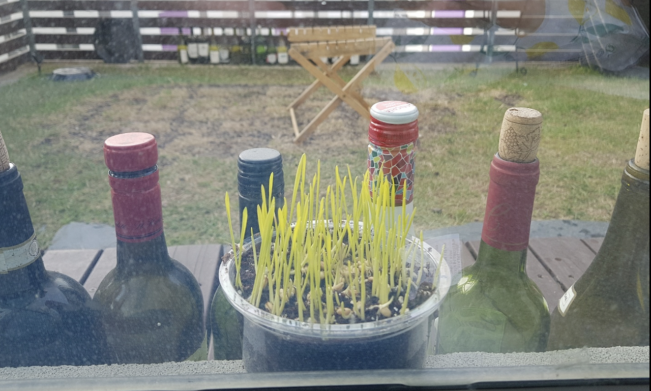 스크린샷 2018-05-28 오후 4.17.48.png